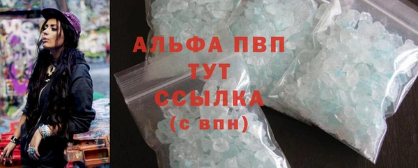 шишки Армянск