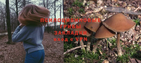 ПСИЛОЦИБИНОВЫЕ ГРИБЫ Аркадак