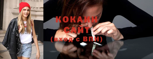 шишки Армянск
