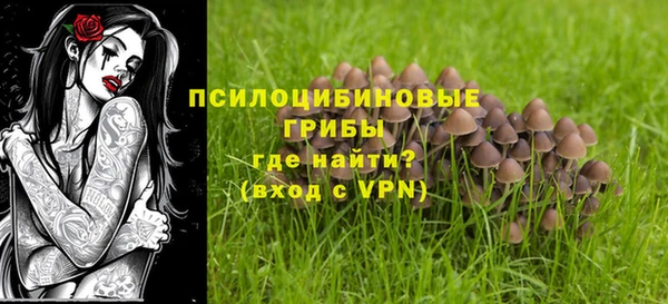шишки Армянск