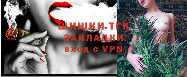 шишки Армянск