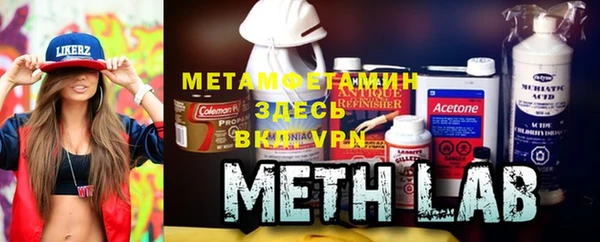 мет Алексин