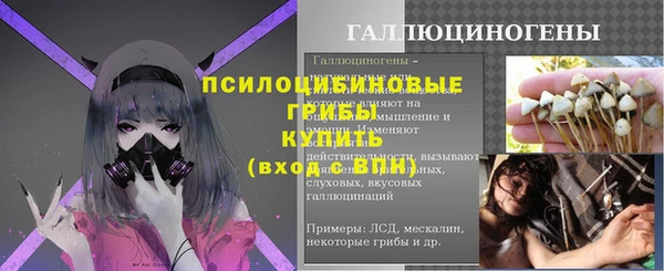 шишки Армянск