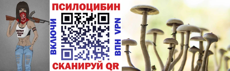 что такое   Чайковский  Псилоцибиновые грибы MAGIC MUSHROOMS 